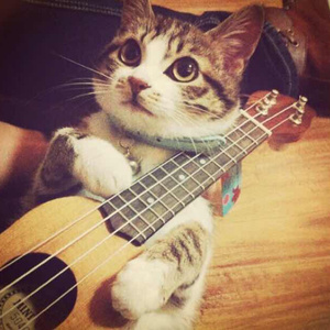 沦为军妓被扒开双腿玩弄
